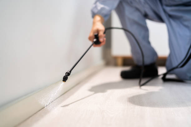 Certified termite inspector examining foundation in Braselton